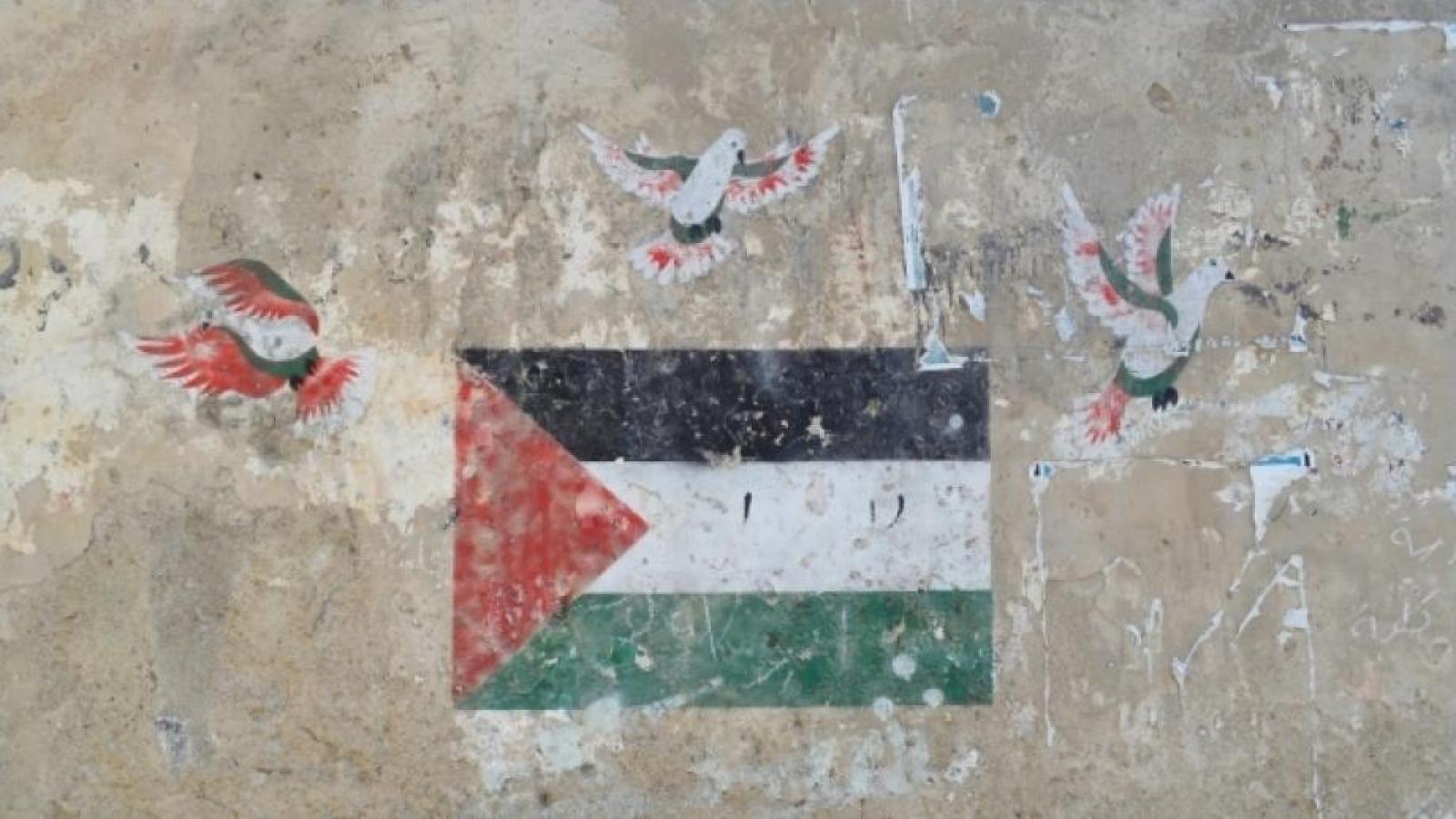 Reimagining Palestine Public Lecture Series