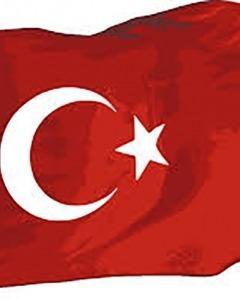Turkey’s International Humanitarian Assistance during the AKP Era'