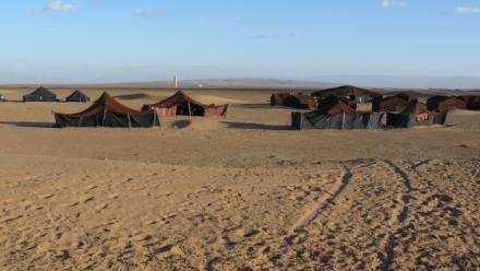 The Stateless Bedoun in Arab Gulf Society: The case of Kuwait