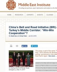 China’s Belt and Road Initiative (BRI) and Turkey’s Middle Corridor: &#039;Win-Win Cooperation&#039;?