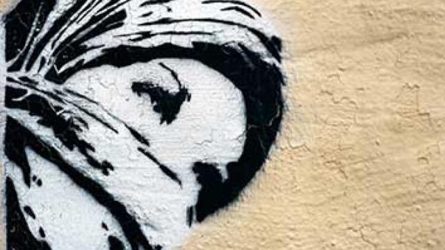 Women and Violent Extremism: Myth and Reality