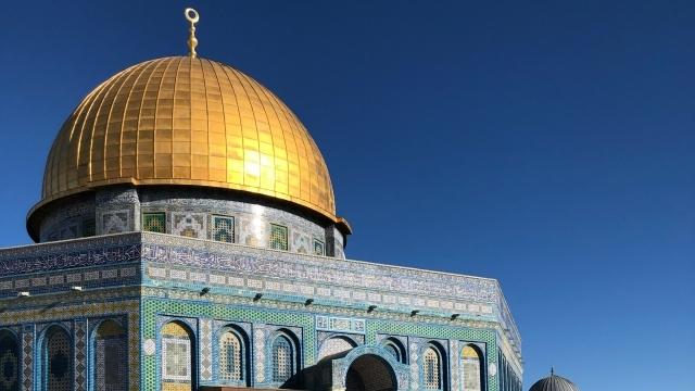 Reimagining Palestine Public Lecture Series | Resisting Domination in Palestine: International Aid, Security, and State/Peace Building as Sites of Settler Colonial Control