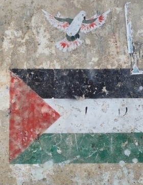 CAIS Virtual Public Lecture Series | Reimagining Palestine