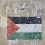 CAIS Virtual Public Lecture Series | Reimagining Palestine