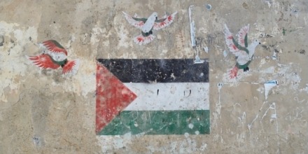Reimagining Palestine Public Lecture Series 